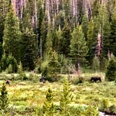 Review photo of Laramie River Road Dispersed by Justin D., September 28, 2020