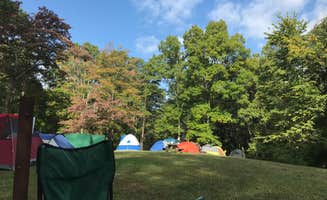 Sydney's photo at Tar Hollow State Park Campground near Paint Creek Lake