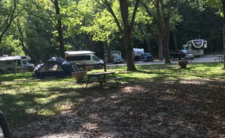 Cathy S.'s photo at Mark Twain Cave & Campground near Mark Twain Lake