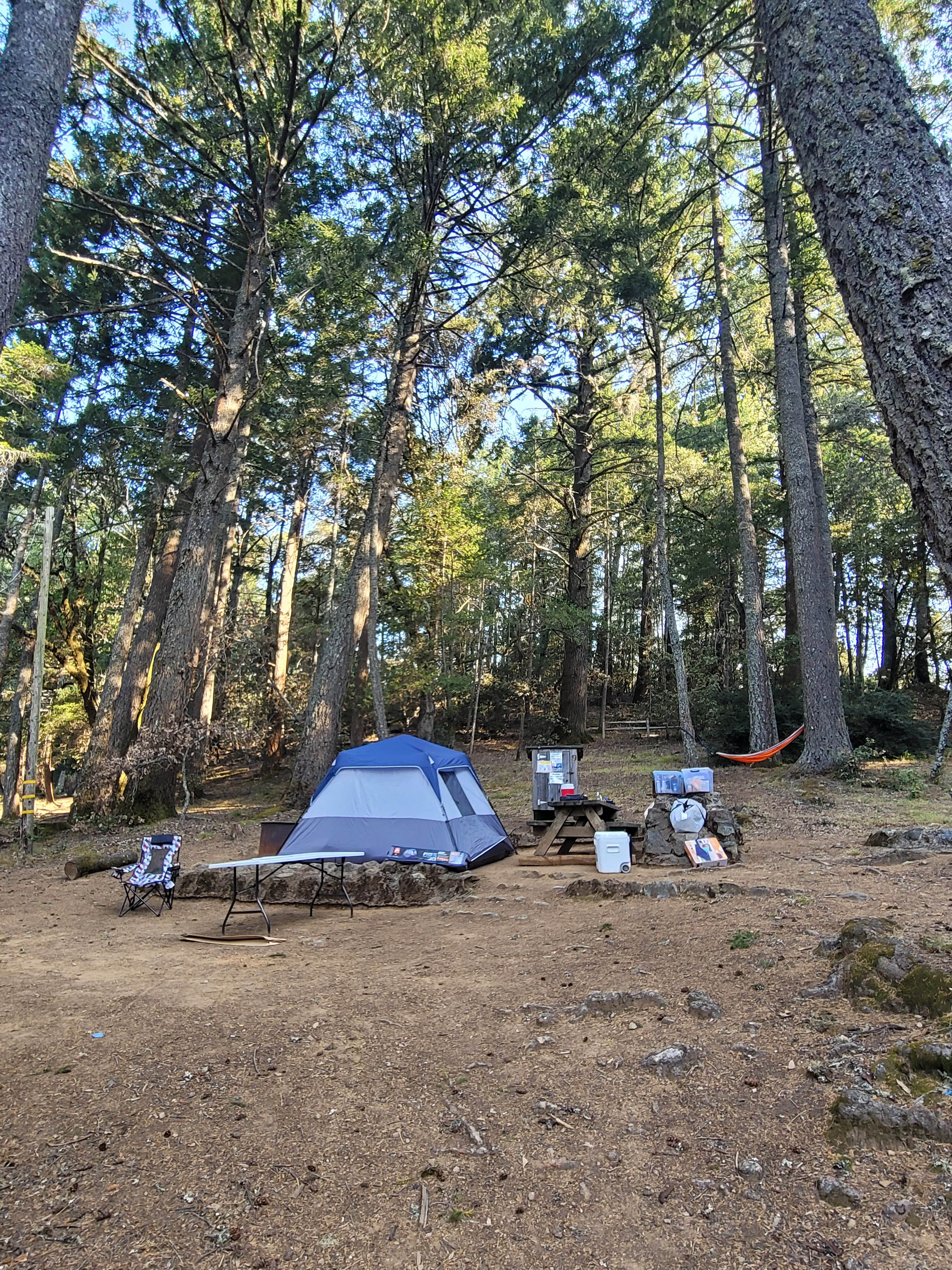 Jasim ِ.'s photo at Pantoll Campground — Mount Tamalpais State Park near Bolinas, CA