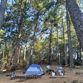 Review photo of Pantoll Campground — Mount Tamalpais State Park by Jasim ِ., September 28, 2020