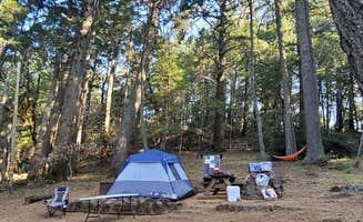 Jasim ِ.'s photo of tent camping at Pantoll Campground — Mount Tamalpais State Park near Inverness, CA