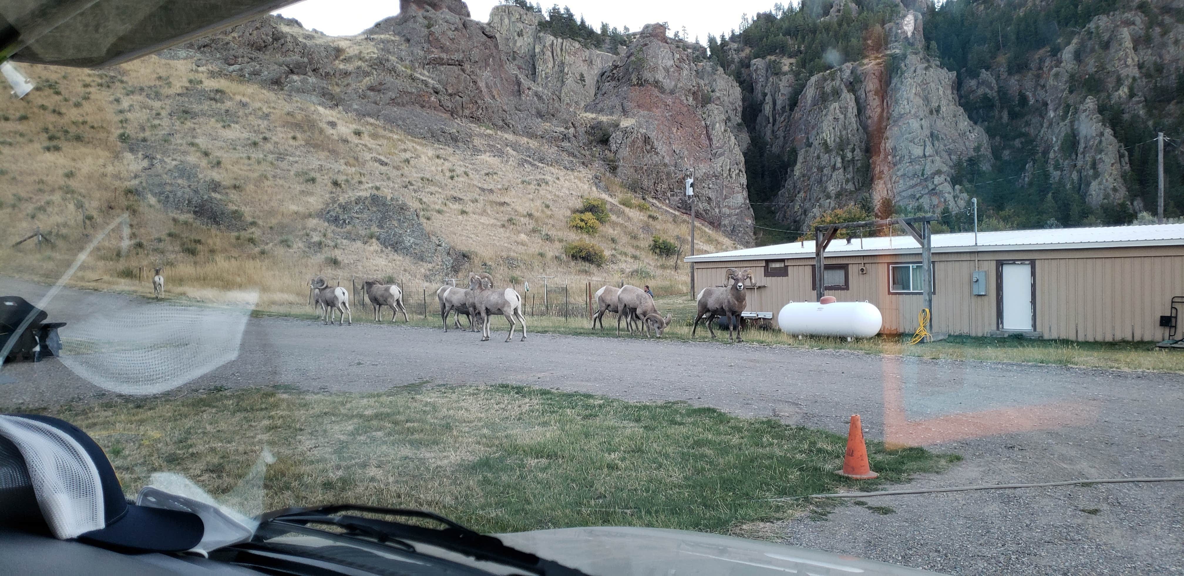 Camper-submitted photo at Prewett Creek Fishing Access Site near Lewis and Clark National Forest