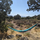 Review photo of Dispersed Camping in Dixie National Forest by Monica M., September 28, 2020