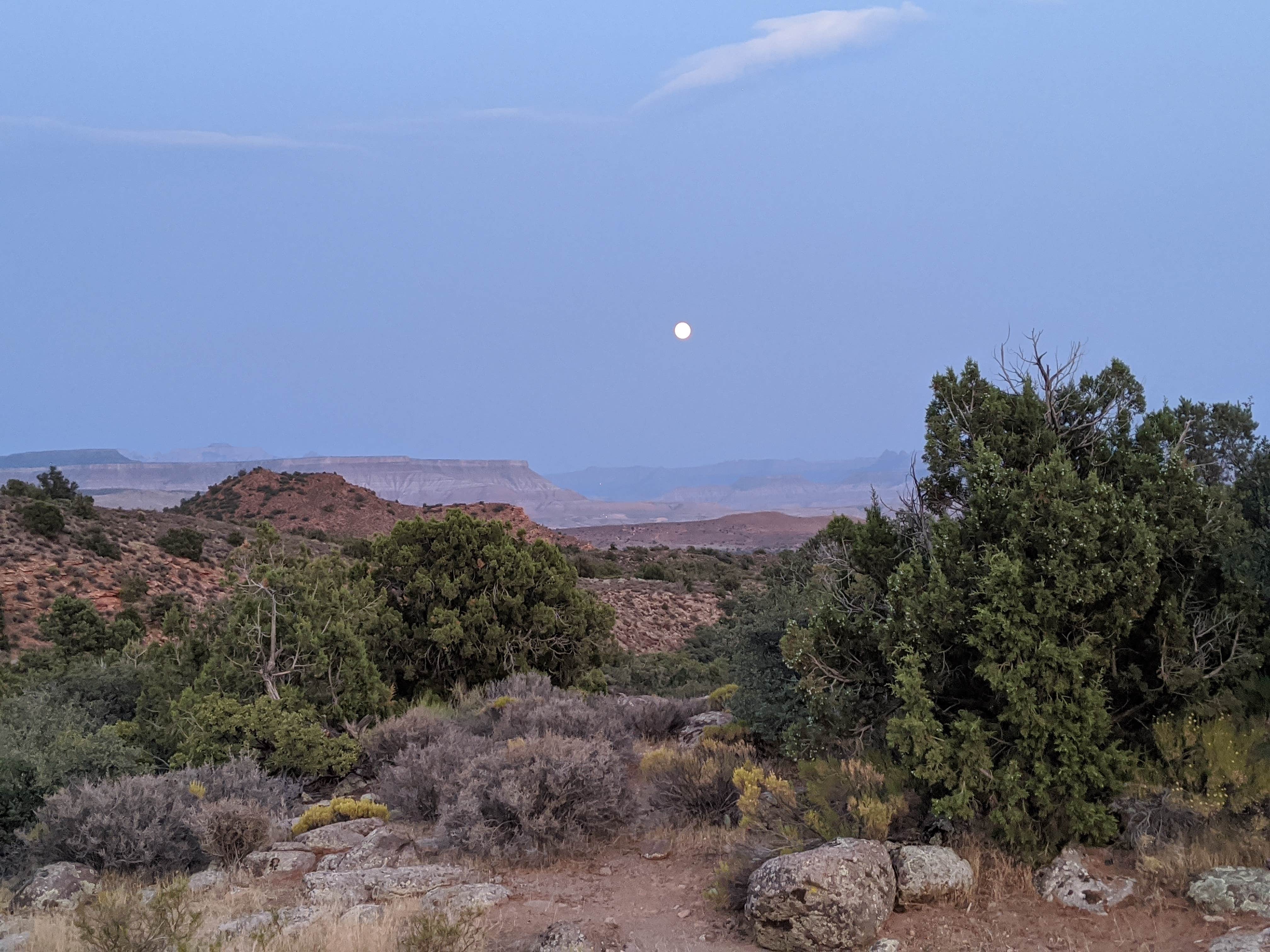 Camper-submitted photo at Dispersed Camping in Dixie National Forest - TEMPORARILY CLOSED near Central, UT