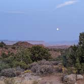 Review photo of Dispersed Camping in Dixie National Forest - TEMPORARILY CLOSED by Monica M., September 28, 2020