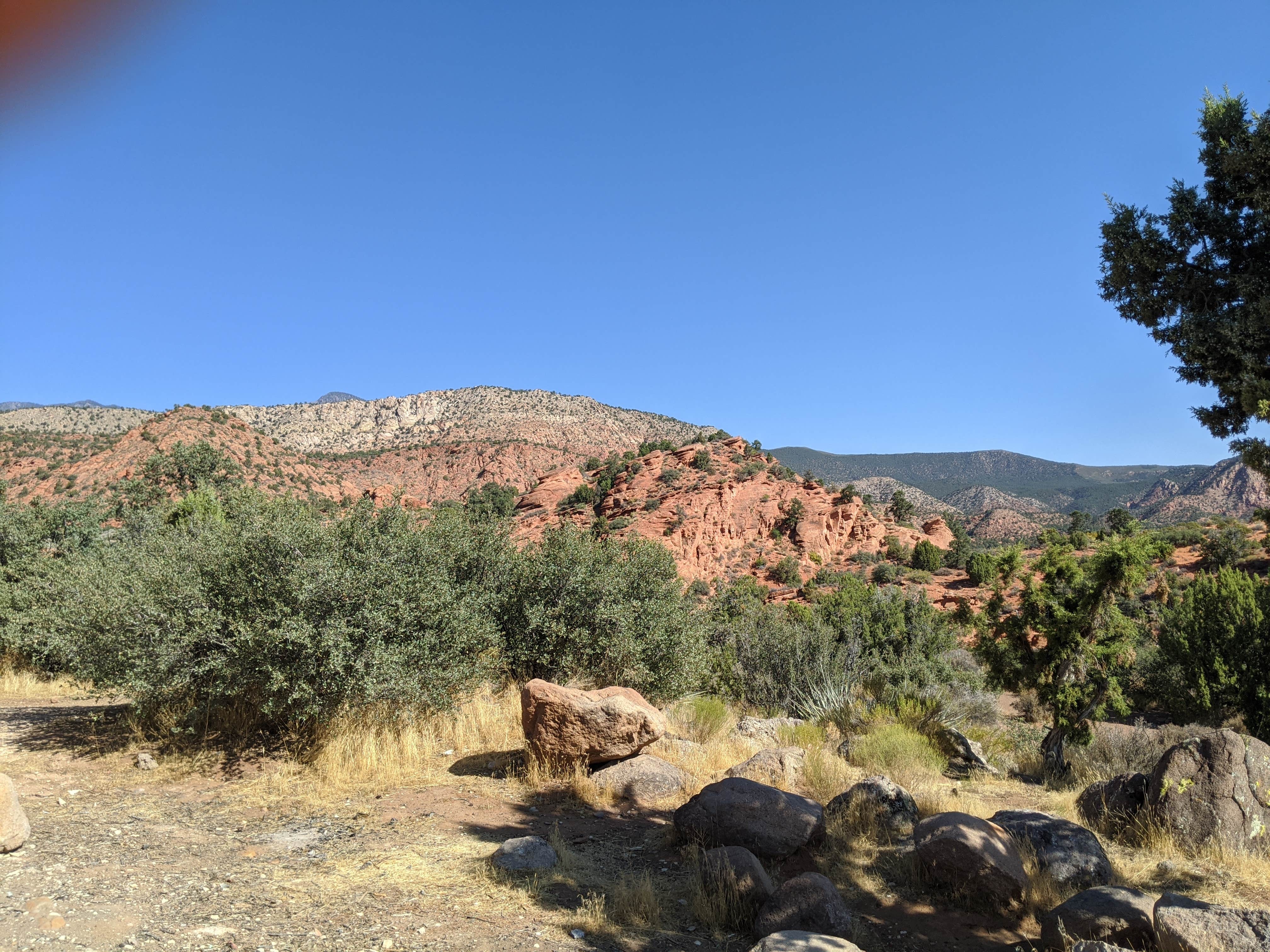 Camper-submitted photo at Dispersed Camping in Dixie National Forest - TEMPORARILY CLOSED near Central, UT