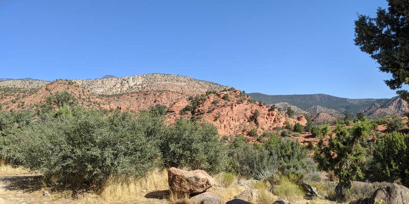 Camper submitted image from Dispersed Camping in Dixie National Forest - TEMPORARILY CLOSED