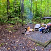 Review photo of Cosby Campground — Great Smoky Mountains National Park by Marlene V., September 28, 2020