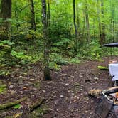 Review photo of Cosby Campground — Great Smoky Mountains National Park by Marlene V., September 28, 2020