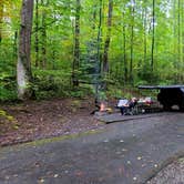 Review photo of Cosby Campground — Great Smoky Mountains National Park by Marlene V., September 28, 2020