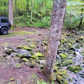 Review photo of Cosby Campground — Great Smoky Mountains National Park by Marlene V., September 28, 2020