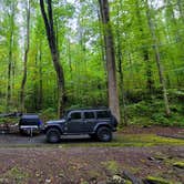 Review photo of Cosby Campground — Great Smoky Mountains National Park by Marlene V., September 28, 2020