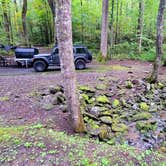 Review photo of Cosby Campground — Great Smoky Mountains National Park by Marlene V., September 28, 2020