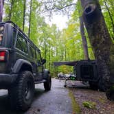 Review photo of Cosby Campground — Great Smoky Mountains National Park by Marlene V., September 28, 2020