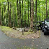 Review photo of Cosby Campground — Great Smoky Mountains National Park by Marlene V., September 28, 2020