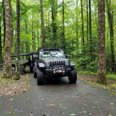 Review photo of Cosby Campground — Great Smoky Mountains National Park by Marlene V., September 28, 2020