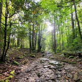 Review photo of Cosby Campground — Great Smoky Mountains National Park by Marlene V., September 28, 2020