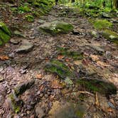 Review photo of Cosby Campground — Great Smoky Mountains National Park by Marlene V., September 28, 2020