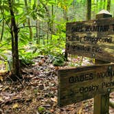 Review photo of Cosby Campground — Great Smoky Mountains National Park by Marlene V., September 28, 2020