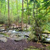 Review photo of Cosby Campground — Great Smoky Mountains National Park by Marlene V., September 28, 2020