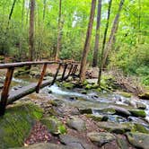 Review photo of Cosby Campground — Great Smoky Mountains National Park by Marlene V., September 28, 2020