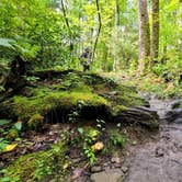 Review photo of Cosby Campground — Great Smoky Mountains National Park by Marlene V., September 28, 2020