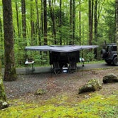 Review photo of Cosby Campground - Great Smoky Mountains National Park by Marlene V., September 28, 2020