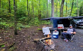 Marlene V.'s photo at Cosby Campground - Great Smoky Mountains National Park near Hartford, TN