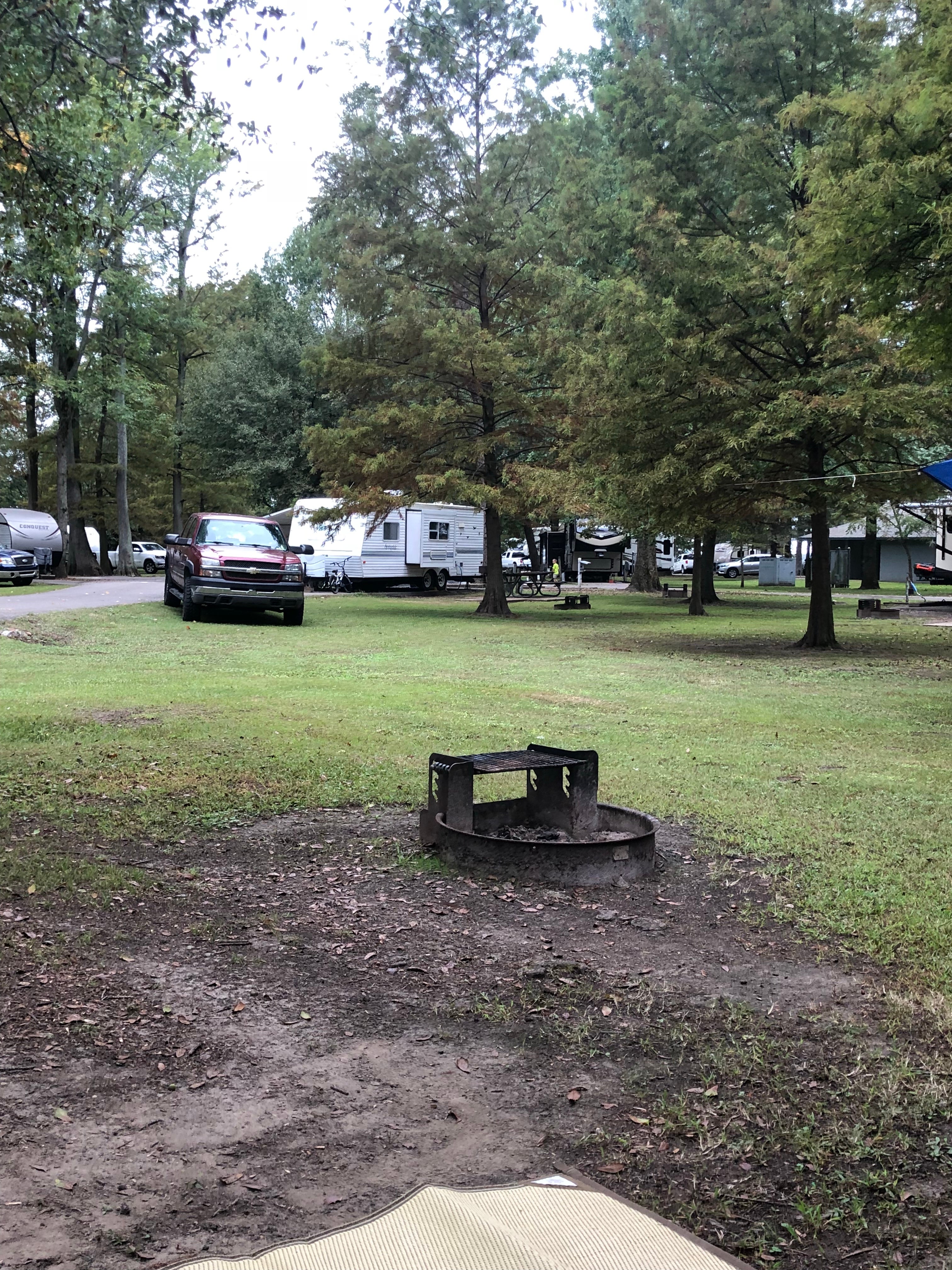 Camper submitted image from South Campground — Reelfoot Lake State Park - 4