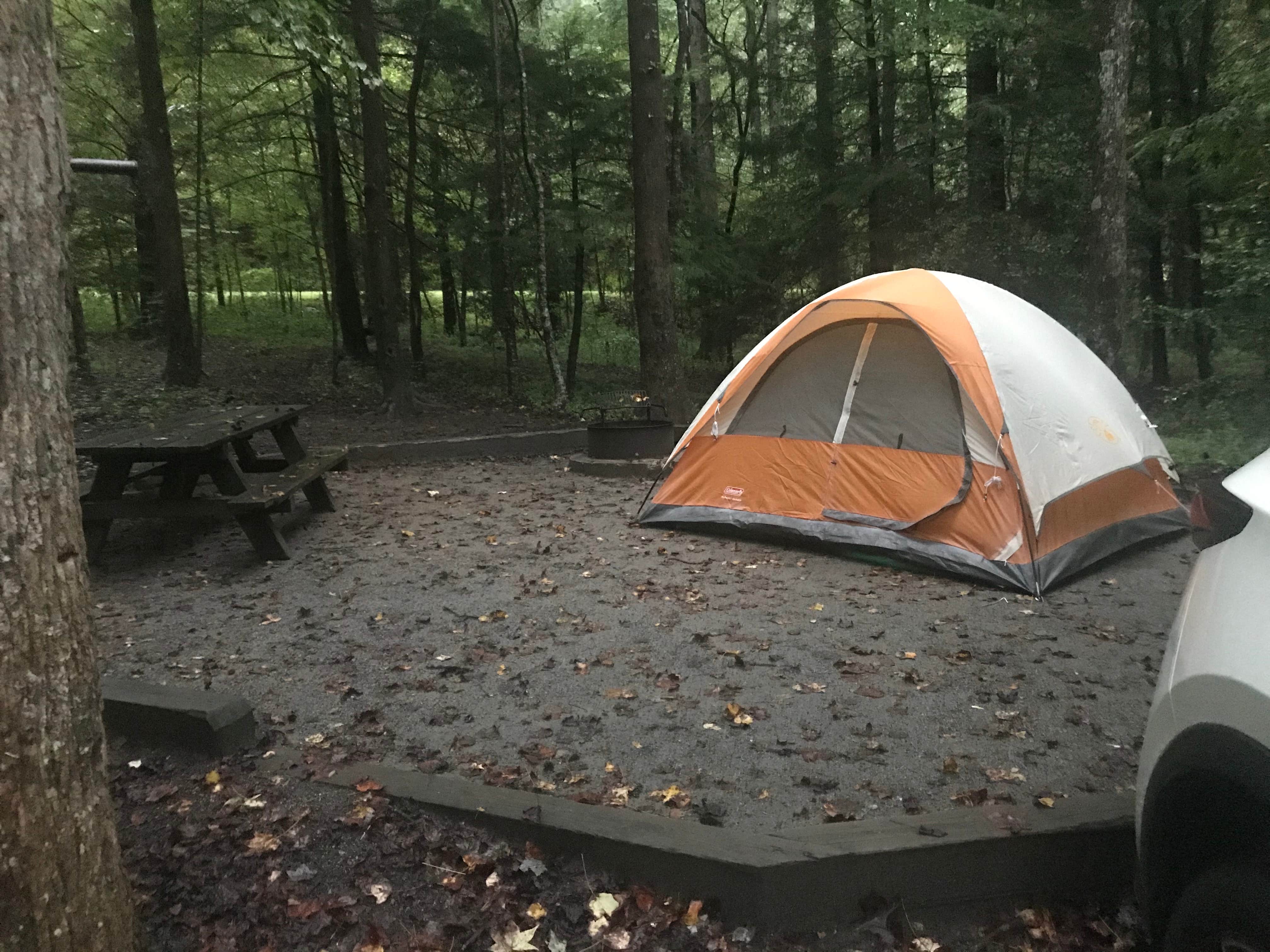 Jessica  H.'s photo at South Mountains State Park Family Campground near Connelly Springs, NC