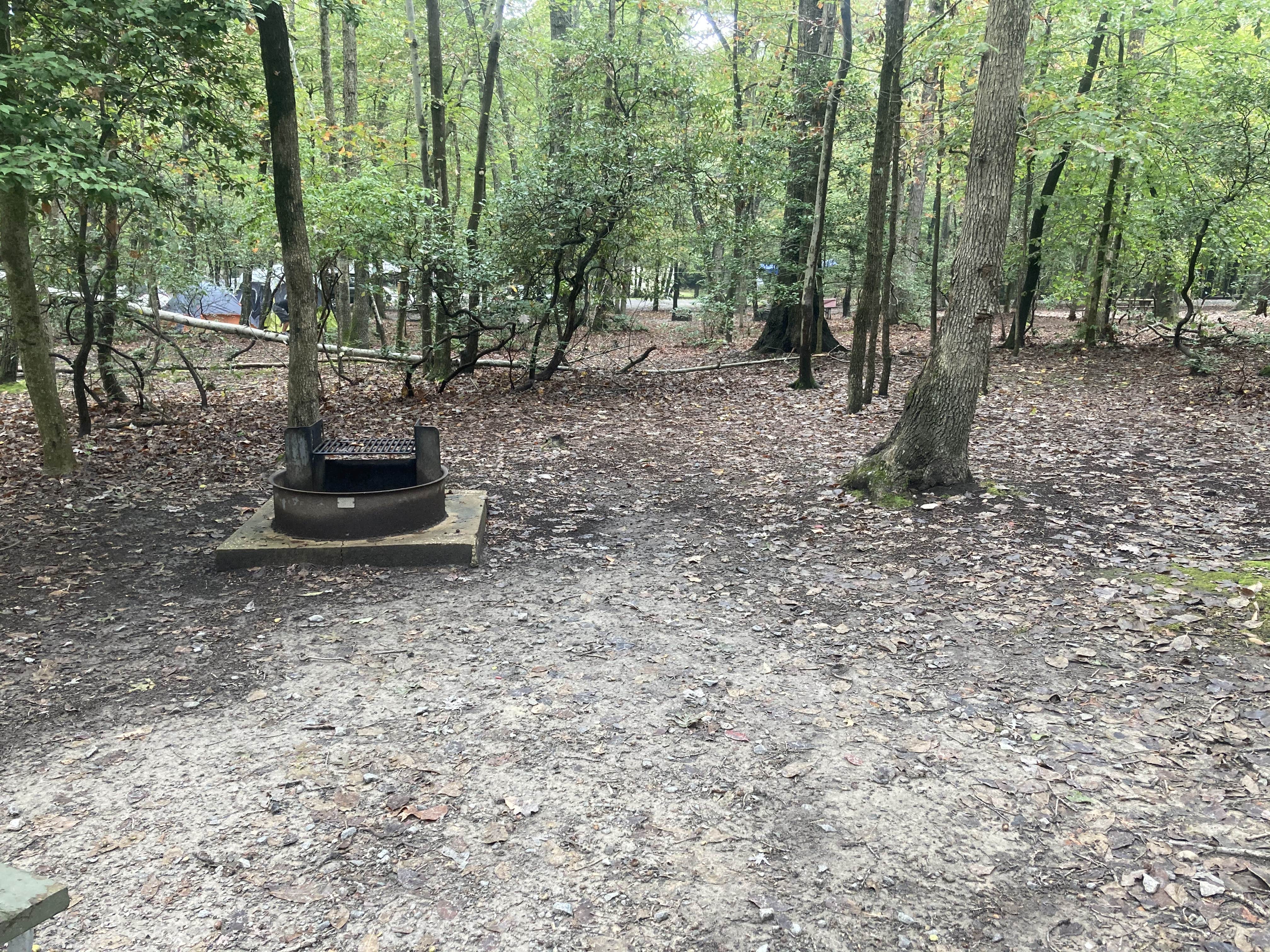 Camper-submitted photo at Pohick Bay Campground near Crofton, MD