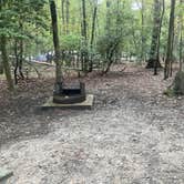 Review photo of Pohick Bay Campground by M J., September 28, 2020