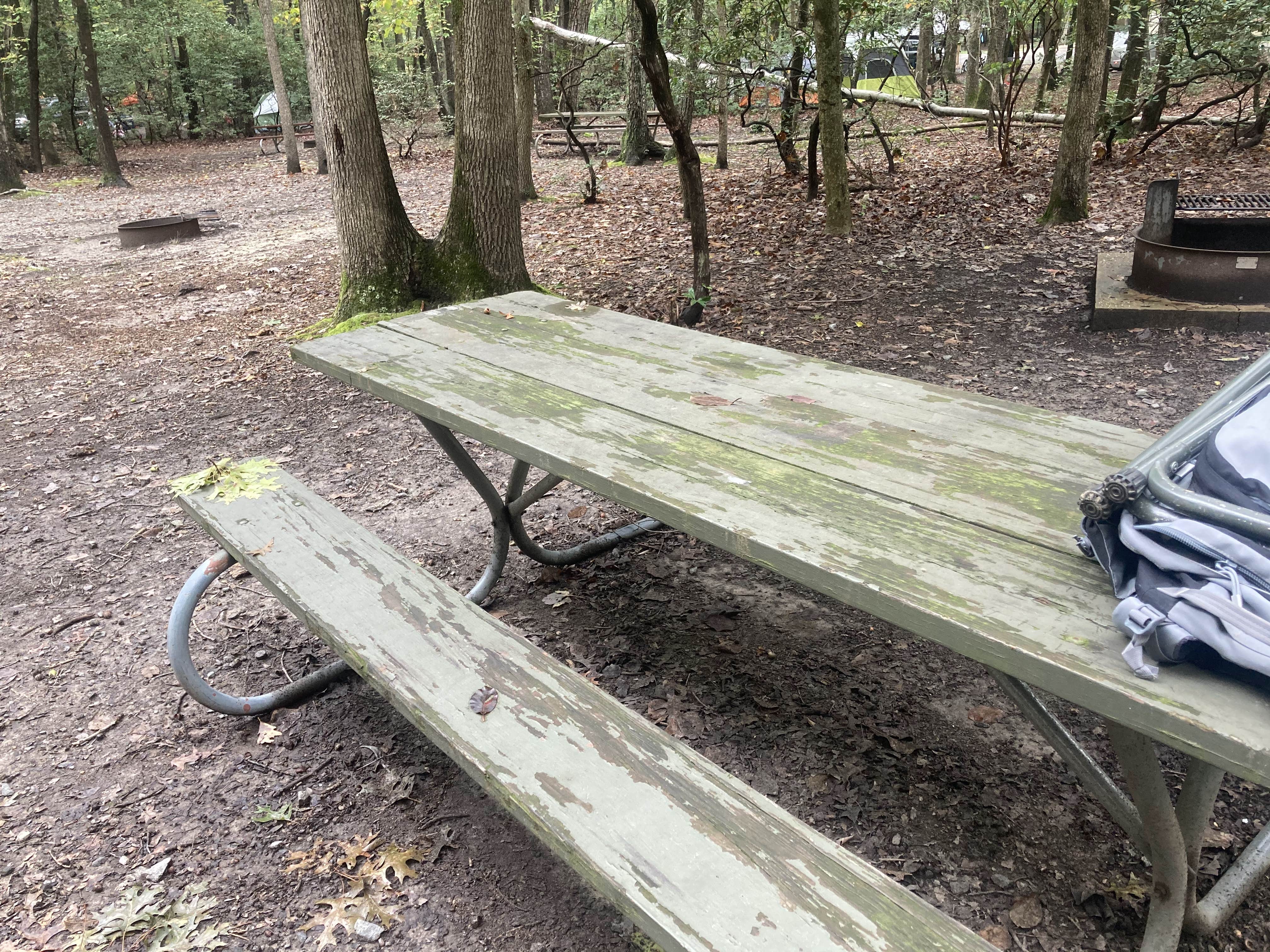 Camper-submitted photo at Pohick Bay Campground near Crofton, MD