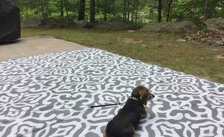John D.'s photo of camping with pets at Bowdish Lake Camping Area in Rhode Island