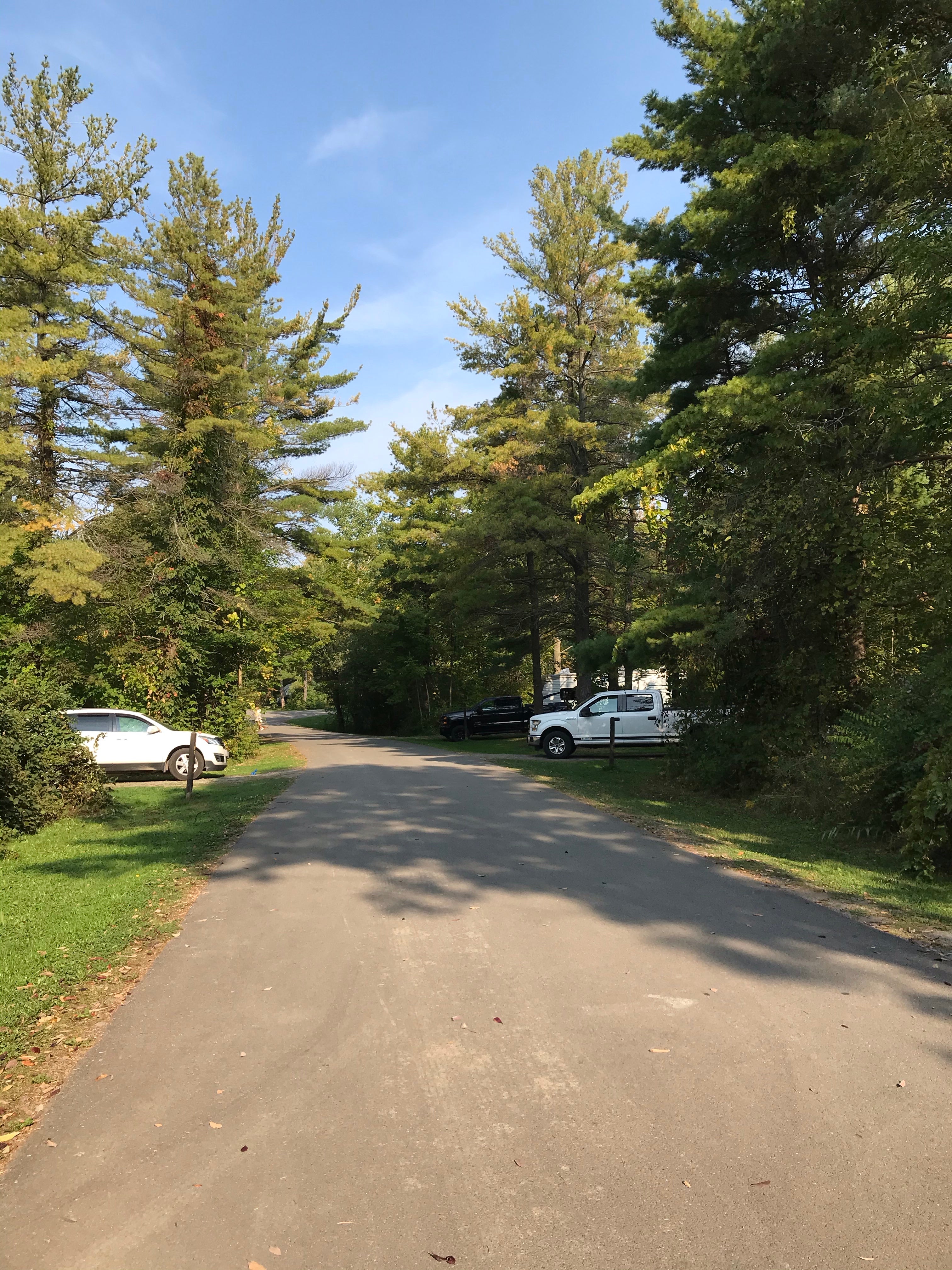 Camper submitted image from Hamlin Beach State Park Campground - 5