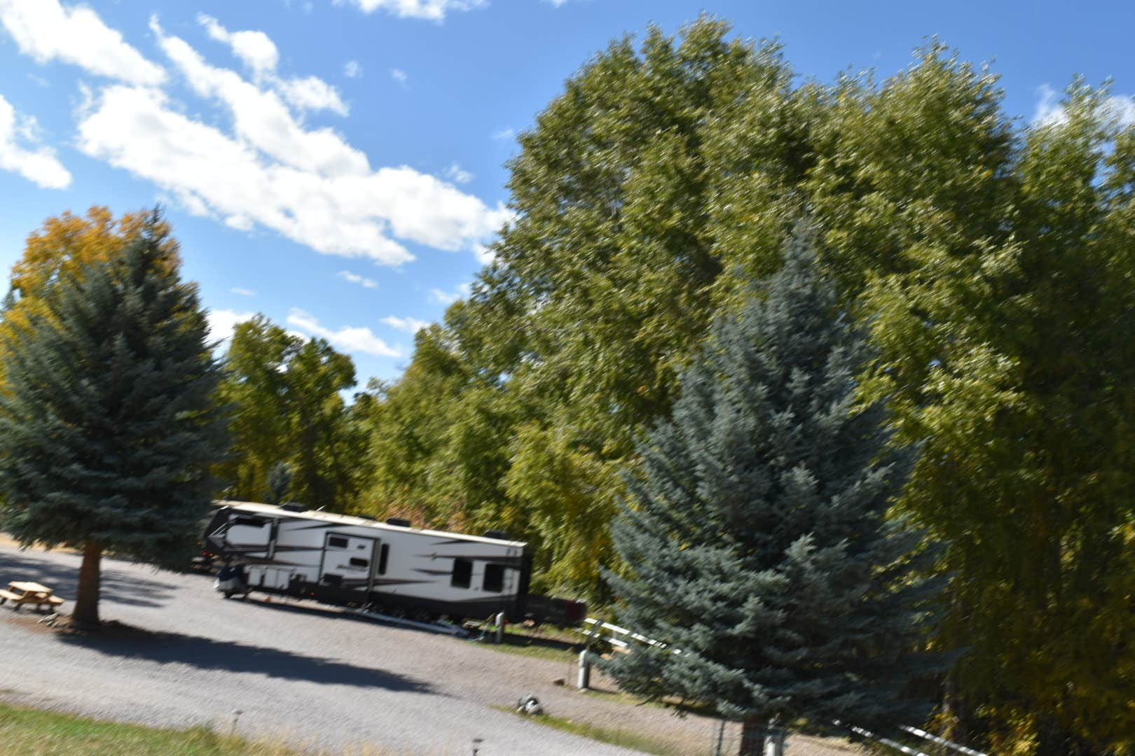 Camper submitted image from Sky Mountain Resort RV Park - 3