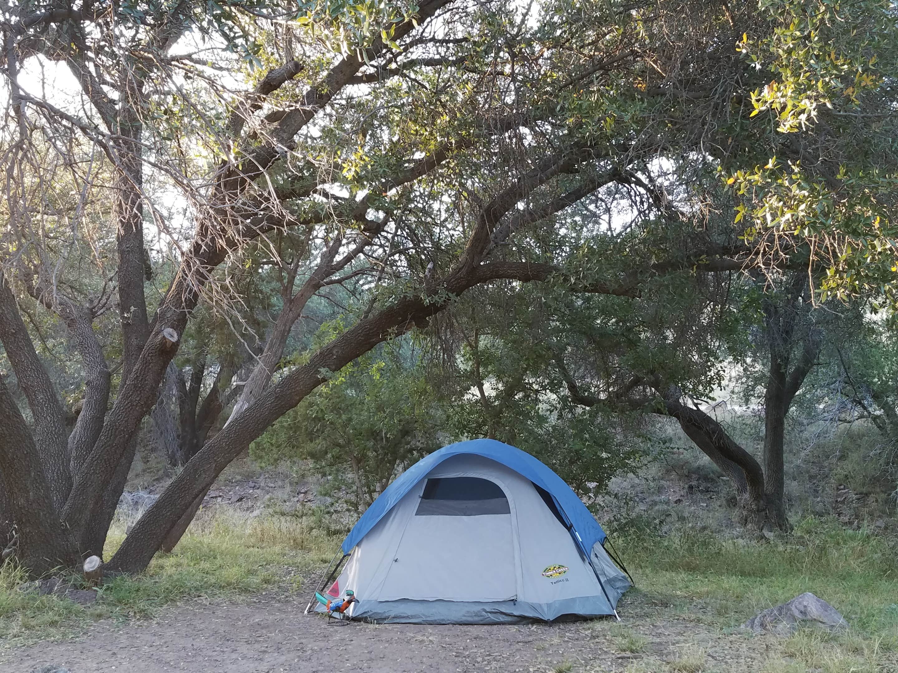 Heather P.'s photo of tent camping at Davis Mountains State Park Campground in Texas