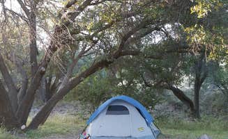 Heather P.'s photo of tent camping at Davis Mountains State Park Campground near Alpine, TX
