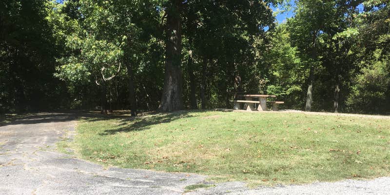 Camper submitted image from Verdigris River