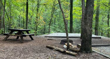 Keowee Toxaway State Park Campground