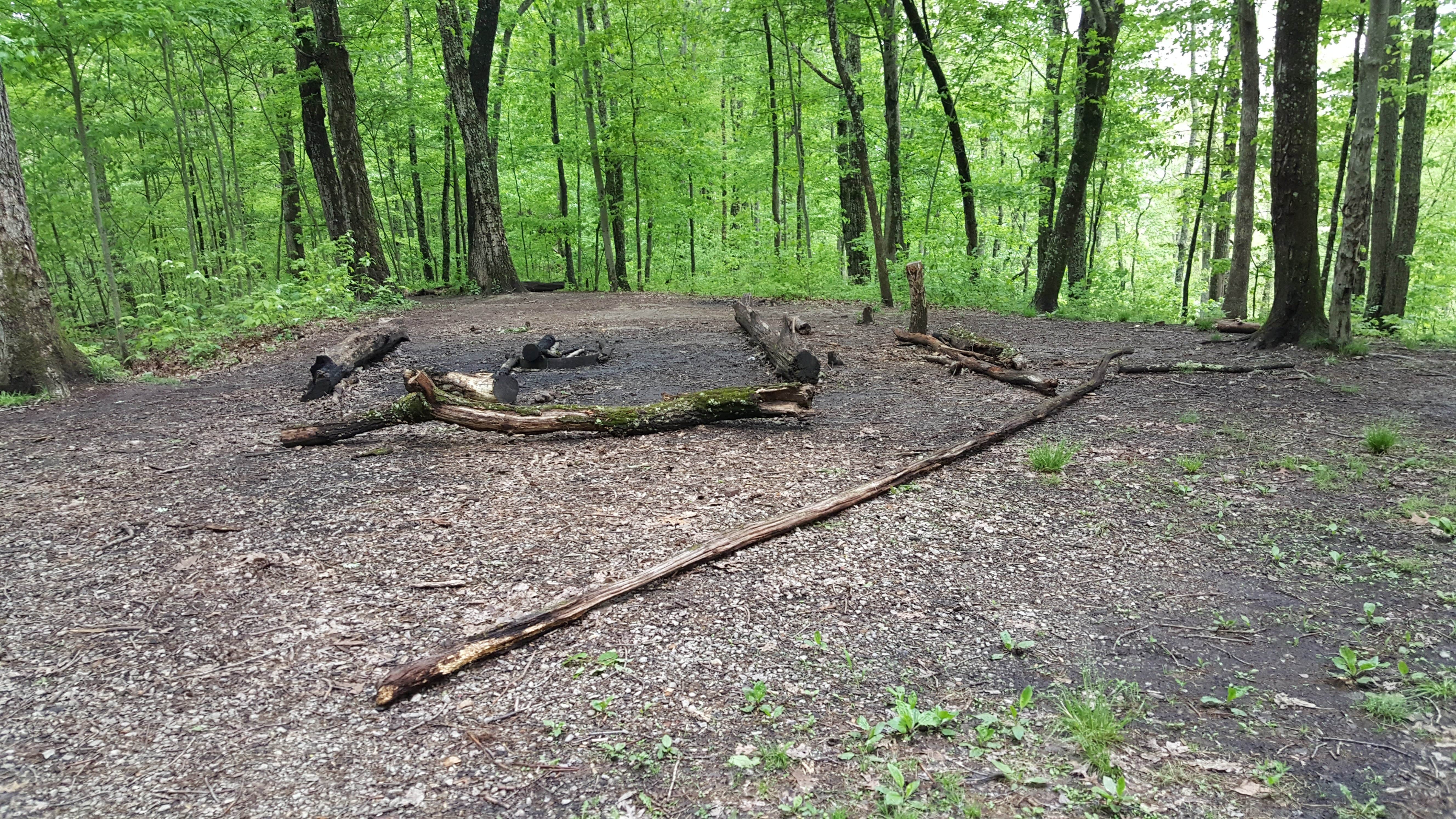 Zaleski State Forest The Dyrt