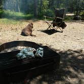 Review photo of Chenango Valley State Park Campground by Sheri S., May 18, 2018