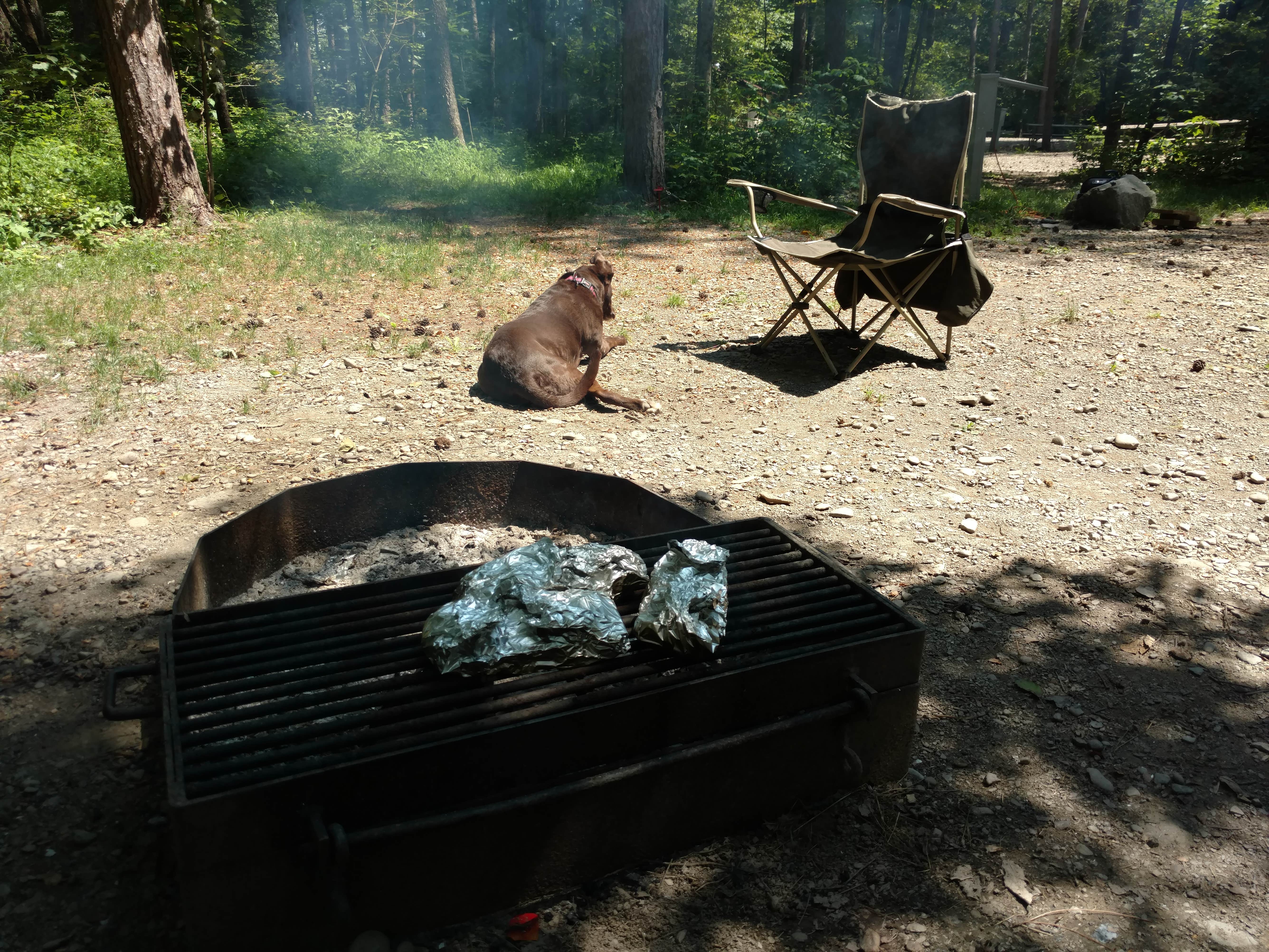 Camper submitted image from Chenango Valley State Park Campground - 4