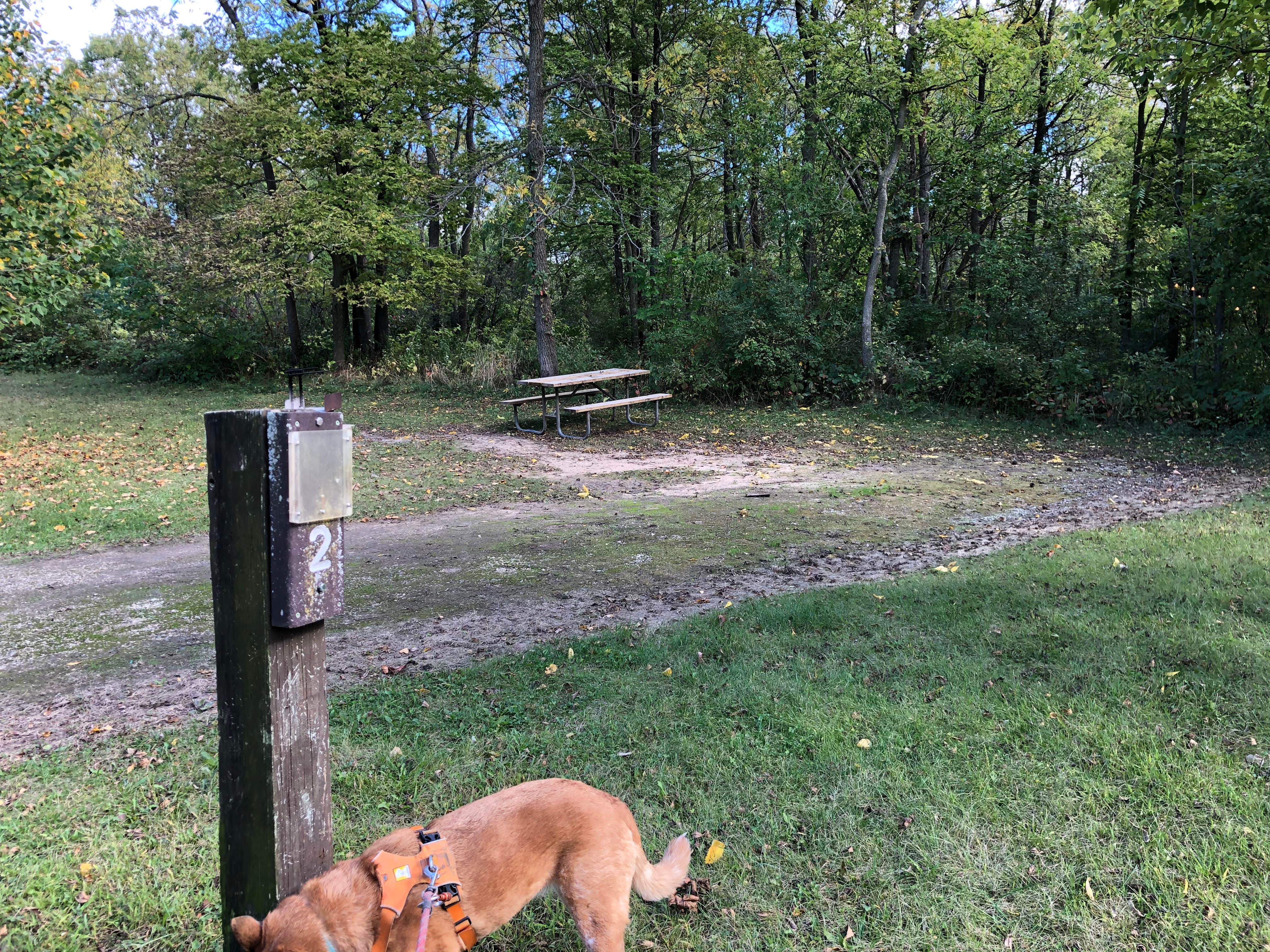 Art S.'s photo of camping with pets at Fox Den Campground — Chain O' Lakes State Park near West Dundee, IL