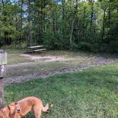 Review photo of Fox Den Campground — Chain O' Lakes State Park by Art S., September 28, 2020