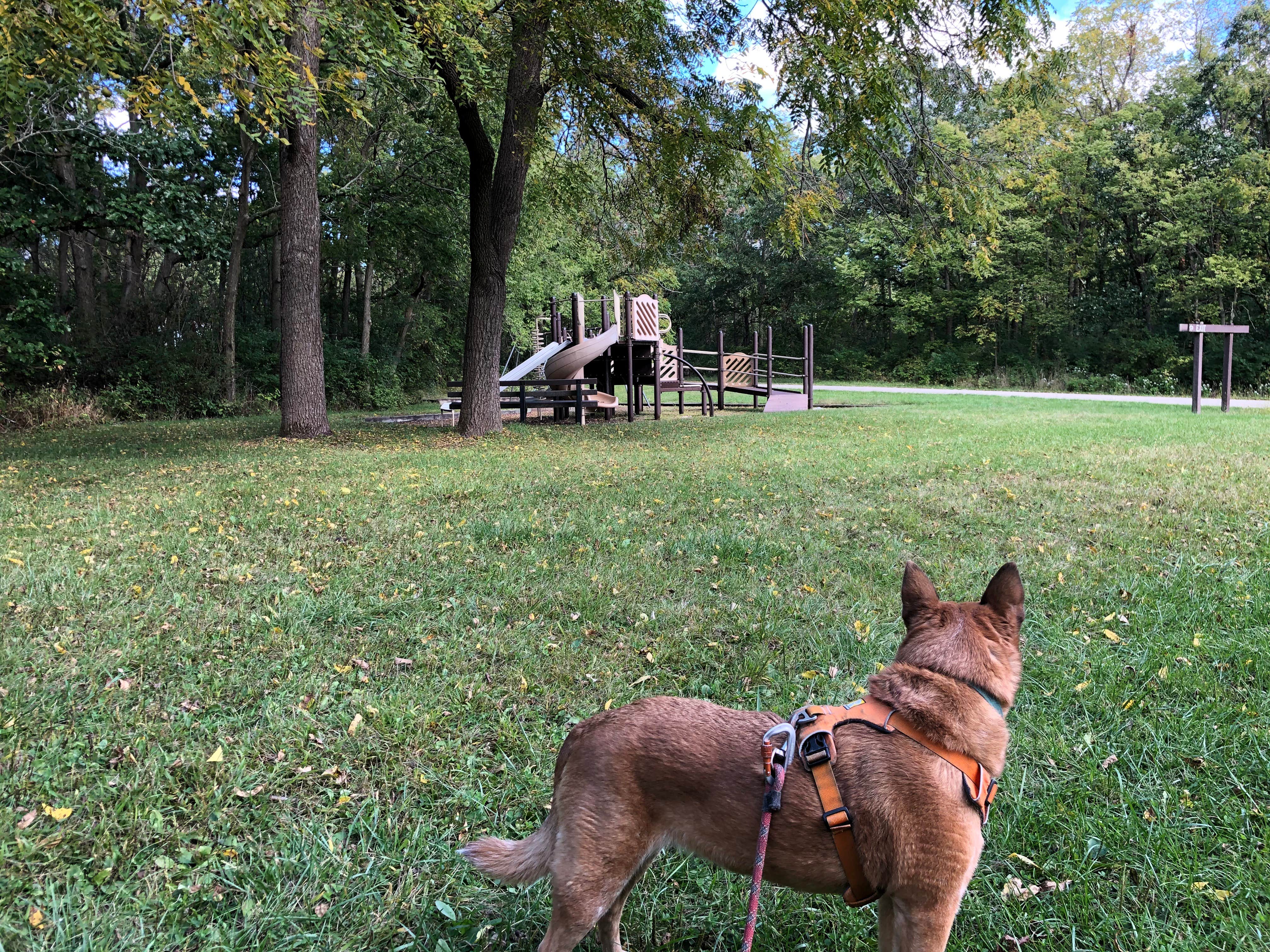 Camper-submitted photo at Fox Den Campground — Chain O' Lakes State Park near Palatine, IL