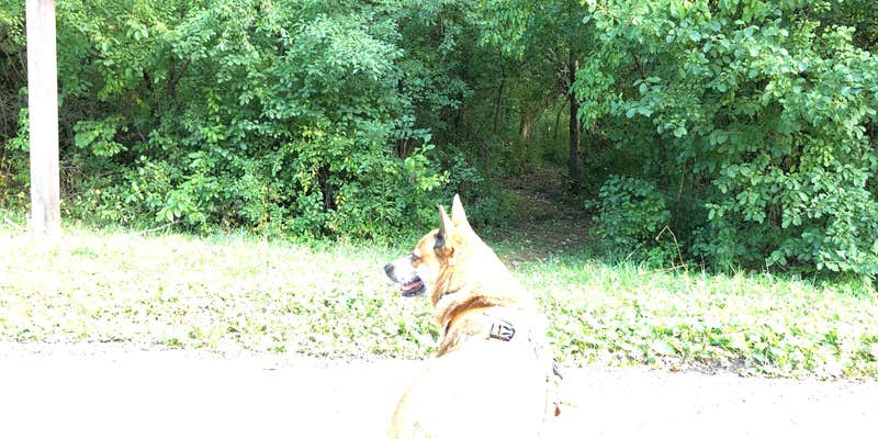 Camper submitted image from Fox Den Campground — Chain O' Lakes State Park