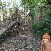 Review photo of Fox Den Campground - Chain O Lakes State Park by Art S., September 28, 2020