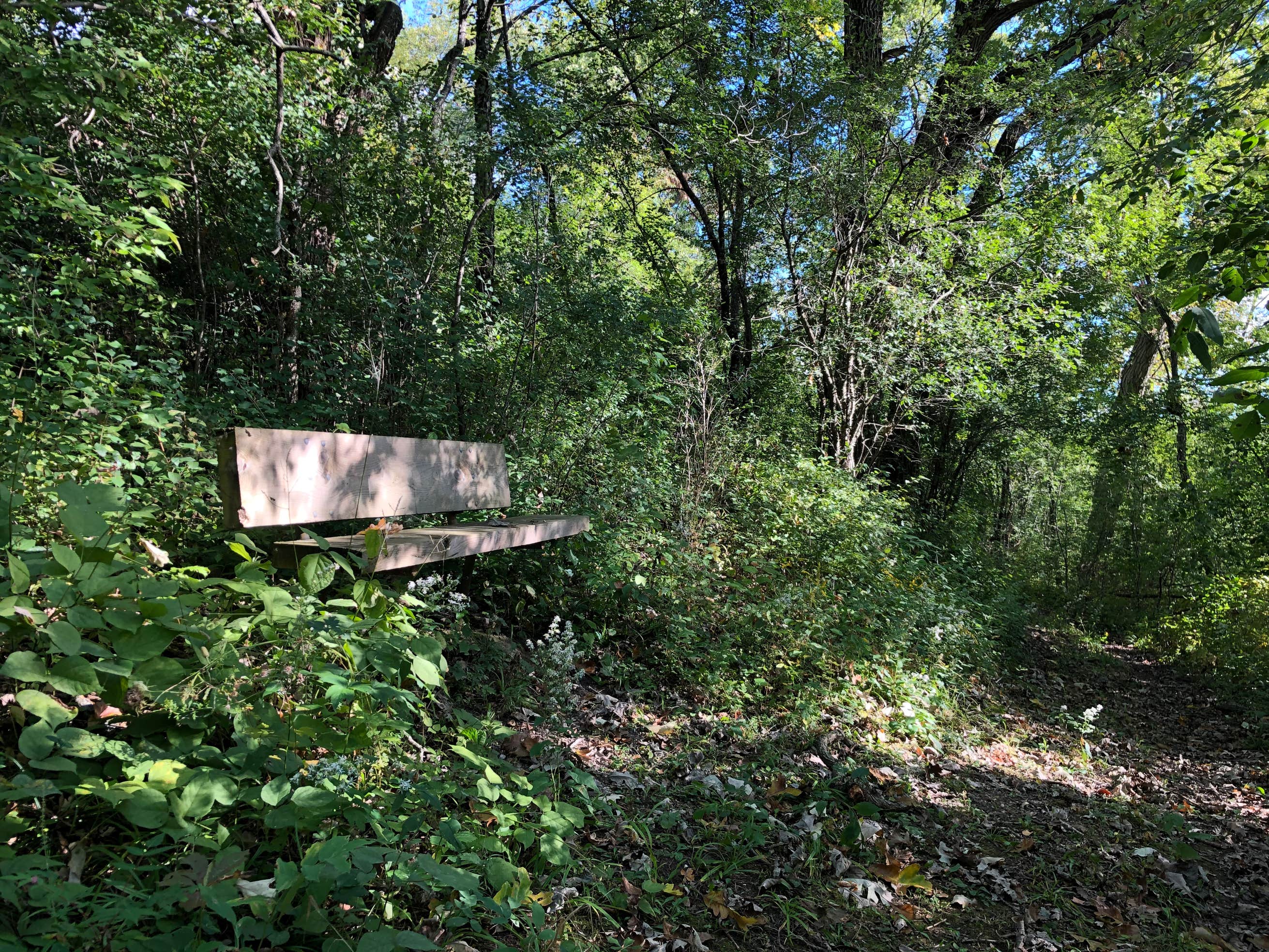 Fox Den Campground Chain O Lakes State Park The Dyrt